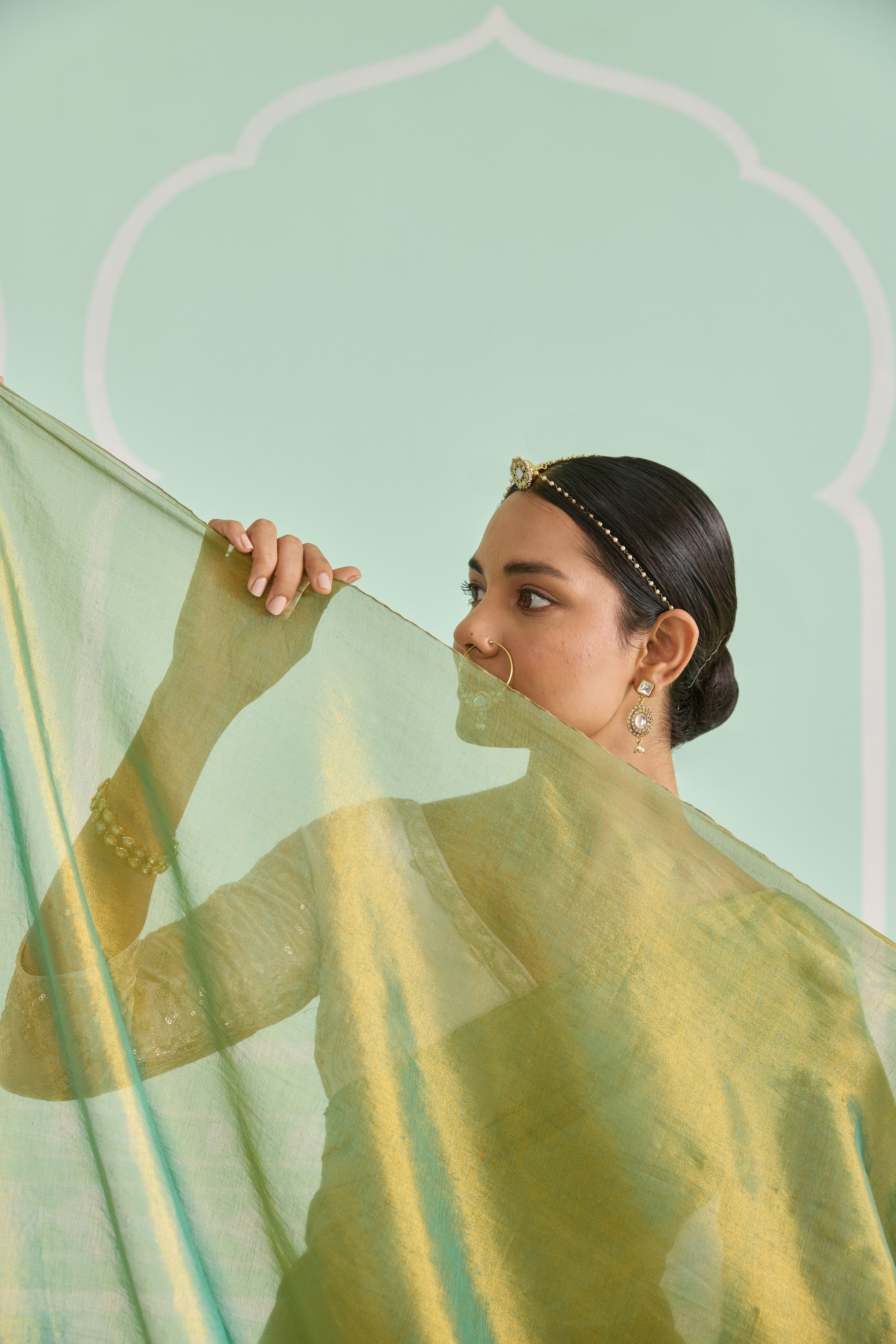 Pista Gold Tissue Handwoven Saree