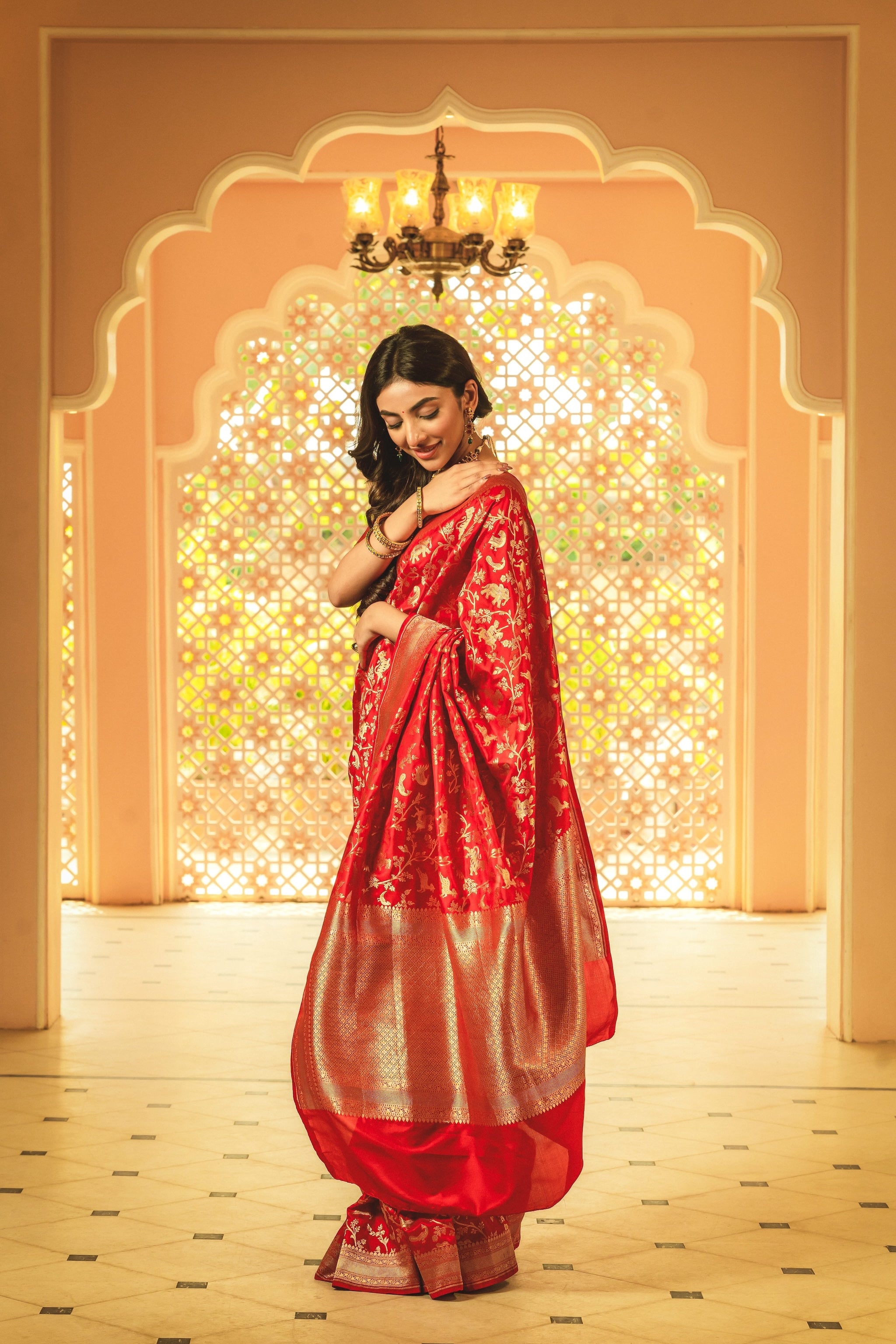 Deep Red Banarasi Silk Handwoven Saree